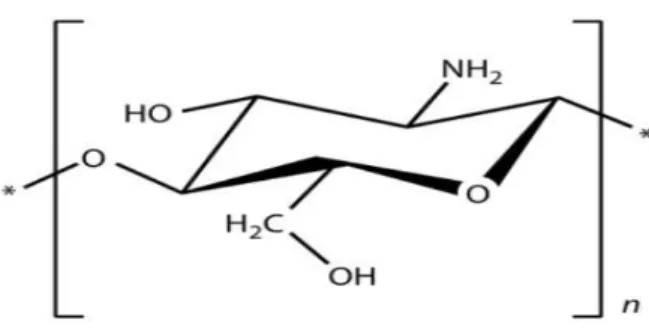 Gambar 2.1 Struktur kimia kitosan 