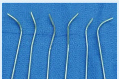 Figure 12. Adjustable single and double cannulas which direct and lead  needles.