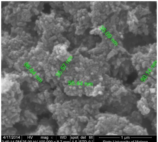 Gambar 5 Hasil Karakterisasi SEM  Nanocomposite Hydroxyapatite-Chitosan pH 4 