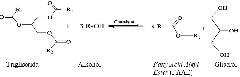Gambar 2.6 Reaksi Transesterifikasi Secara Umum dari Minyak Nabati [4]