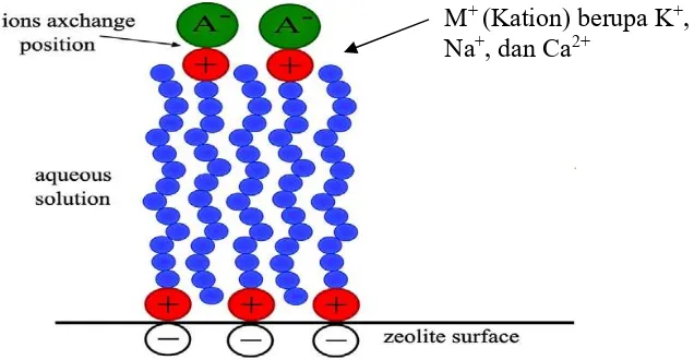 Gambar 2.4 Ilustrasi Proses Modifikasi Zeolit Alam dengan Kation [44]