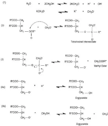 Gambar 2.5 Mekanisme Reaksi Transesterifikasi dengan menggunakanTrigliserida dan KOH/zeolit sebagai Katalis Basa Kuat [7]