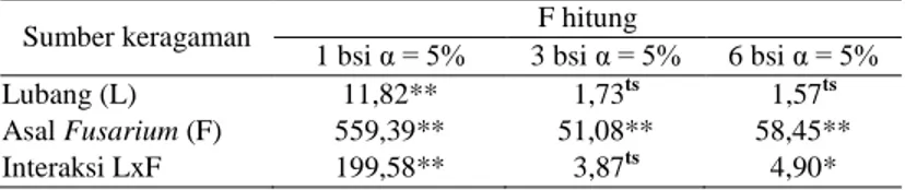 Tabel 1. Ringkasan Analisis Keragaman (F-hitung) Pengaruh Perlakuan Inokulan Fusarium  dan    Penutupan Lubang terhadap Rataan Luas (cm 2 ) Gejala pada Umur 1, 3 dan 6 BSI 