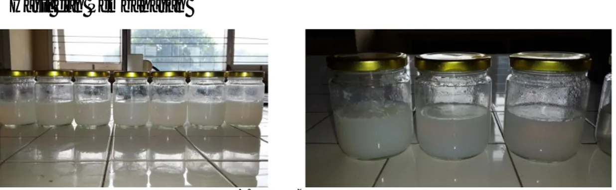 Gambar 1. Hasil Bioetanol Gel Dari Sekam Padi 