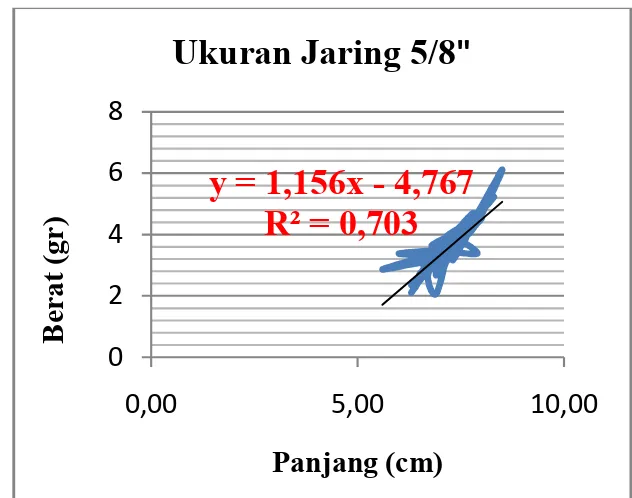 Gambar 8. Hubungan Panjang Berat Ikan Bilih dengan Jaring  Ukuran 5/8”  y = 1,404x - 6,255R² = 0,7190123456705 10Berat (gr)Panjang (cm)Ukuran Jaring 3/4&#34;y = 1,156x - 4,767R² = 0,703024680,005,0010,00Berat (gr)Panjang (cm)Ukuran Jaring 5/8&#34;