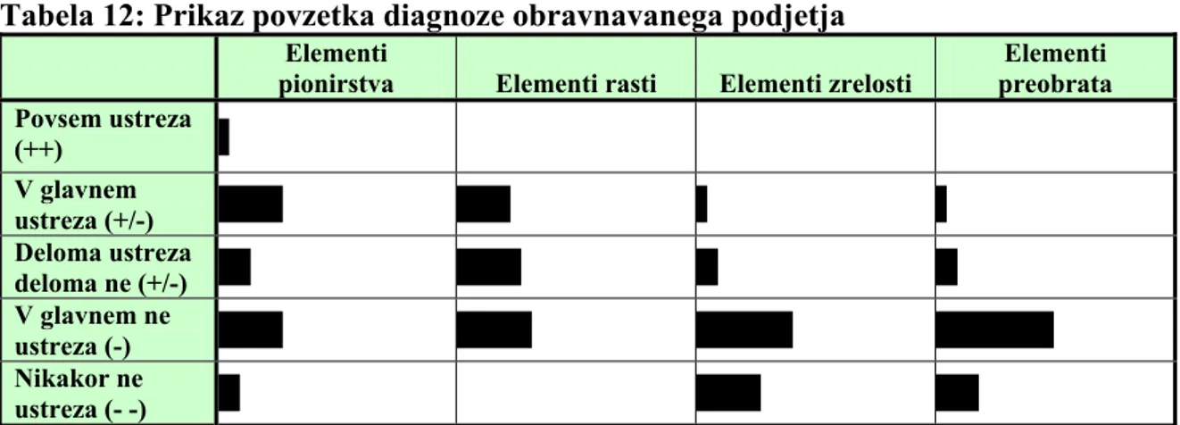 Tabela 12: Prikaz povzetka diagnoze obravnavanega podjetja 