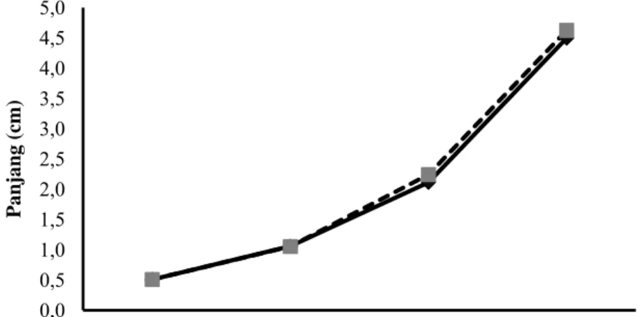 Tabel 3. Rerata panjang (cm) benih ikan betok pada perendaman rHP dengan  dosis berbeda 