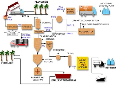 Gambar 2.13 Proses Pengolahan Kelapa Sawit 