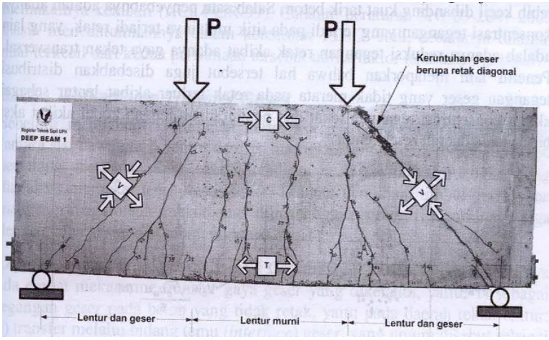 Gambar 2.5 Balok dengan Keruntuhan Geser 