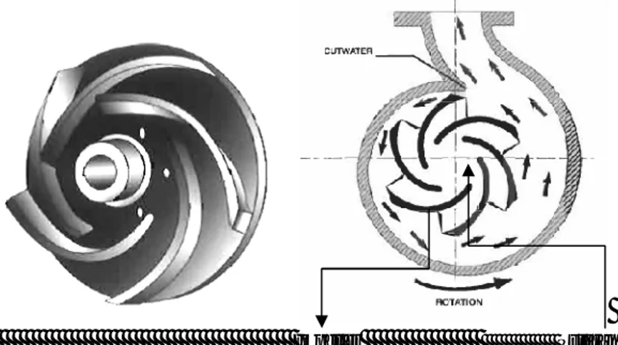 Gambar 2.1 Pompa Sentrifugal  Sumber : Anis, S. dan Karnowo (2008). 