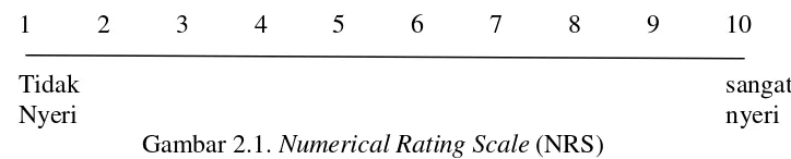 Gambar 2.1. Numerical Rating Scale (NRS) 