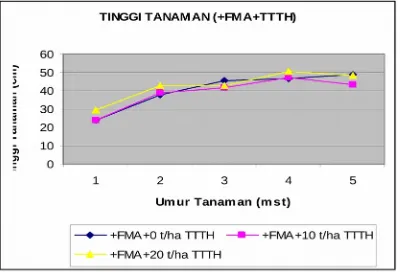 Gambar 6. Tinggi tanaman kentang dengan perlakuan diberi FMA dengan                   berbagai dosis pupuk organik TTTH