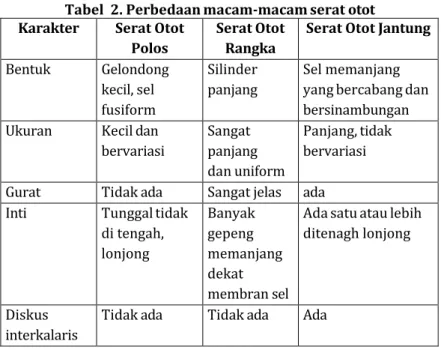 Tabel  2. Perbedaan macam-macam serat otot  Karakter  Serat Otot 