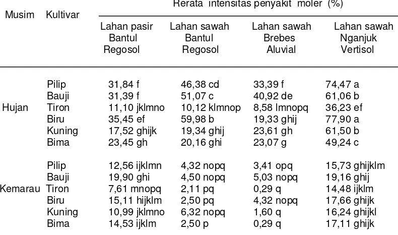 Tabel  2.  Intensitas  penyakit  moler   pada  6 kultivar  bawang merah berumur 
