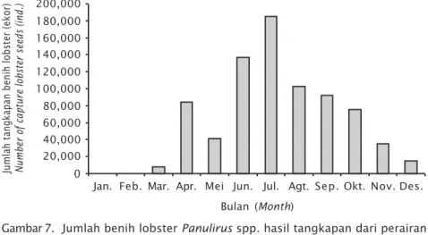 Gambar 7. Jumlah benih lobster Panulirus spp. hasil tangkapan dari perairan Teluk Gerupuk, Nusa Tenggara Barat