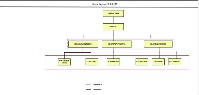Gambar 2.1 Struktur Organisasi CV. Wolken 