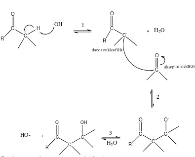 Gambar 1.1 Mekanisme umum reaksi kondensasi (McMurry, 2007).