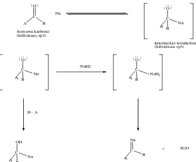 Gambar 2.6 Reaksi adisi nukleofilik (McMurry, 1992)