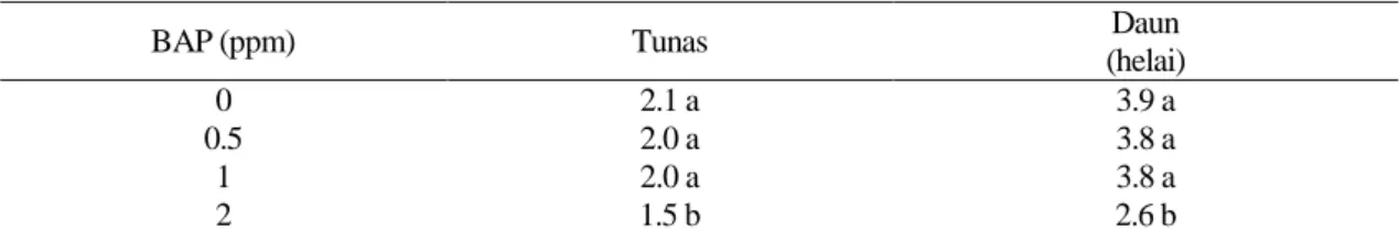 Tabel 6. Pengaruh pemberian BAP terhadap rata-rata jumlah tunas dan  daun  pada 16 MST 