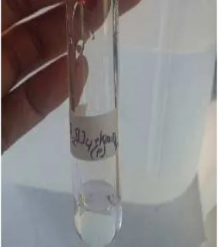 Gambar 3. Hasil uji kualitatif dengan pereaksi asam sulfanilat dan NED  