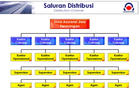Gambar 2.2 Struktur organisasi pada Saluran Distribusi  Sumber : AJB Bumiputera Syariah 