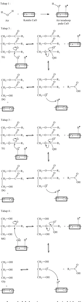 Gambar 4. Mekanisme  reaksi  hidrolisis 