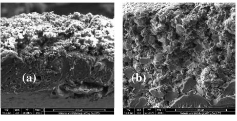 Gambar 1. Morfologi penampang membran sebelum (a) dan setelah (b) aplikasi filtrasi pada pembesaran 1000x