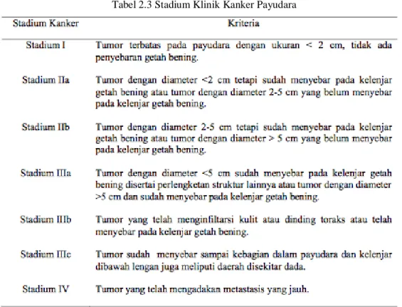 Tabel 2.3 Stadium Klinik Kanker Payudara 