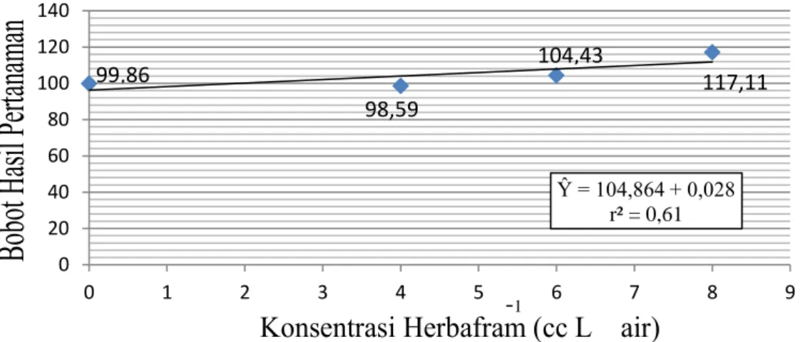 Gambar 1. Kurva linier pengaruh Herbafarm terhadap bobot buah per tanaman 