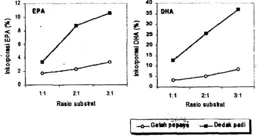 Gambar 1. Inkorporasi EPA dan DHA pada minyak sawit merah menggunakan getah pepaya dan dedak padi sebagai  biokatalis 