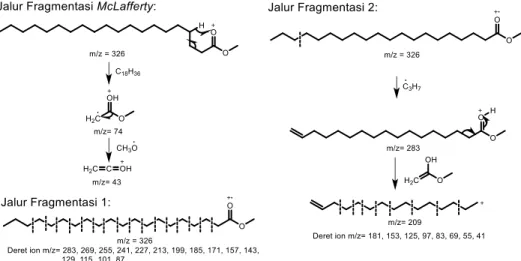Gambar 8. Mekanisme fragmentasi metil ester arachidat  Senyawa  yang  terdapat  pada  peak  19 