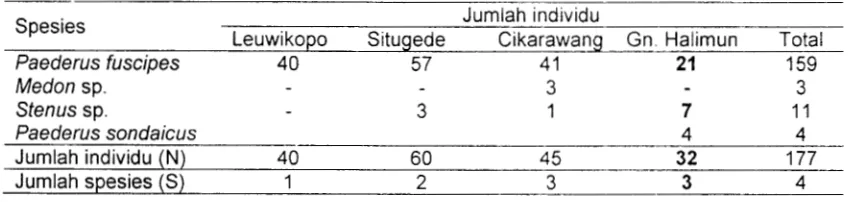 Tabel 3 Jumlah individu staphylinid di tiga lokasi persawahan di Bogor 