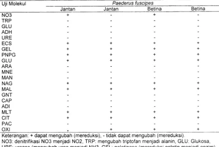 Tabel 7 Hasil uji biokimia bakteri hemolimfe P. fuscipes dengan Kit API 20 NE 