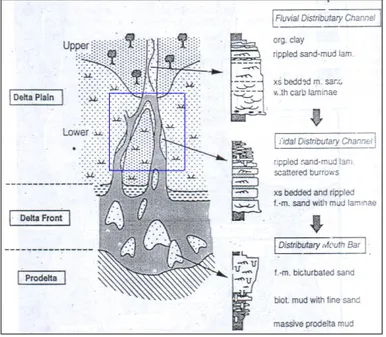 Gambar  6.  Gambaran  skematik  dari  penampang  delta  yang  memperlihatkan  litologi  penciri  dan  variasi  fasies  (G.P