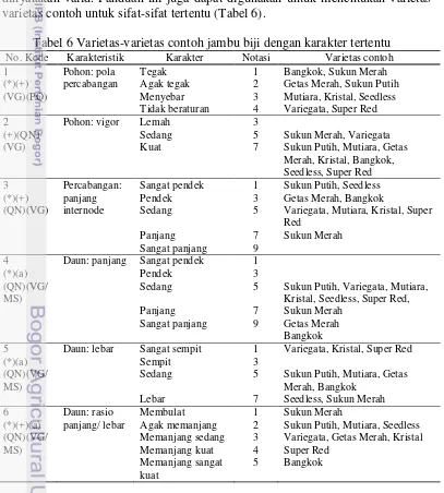 Tabel 6 Varietas-varietas contoh jambu biji dengan karakter tertentu 