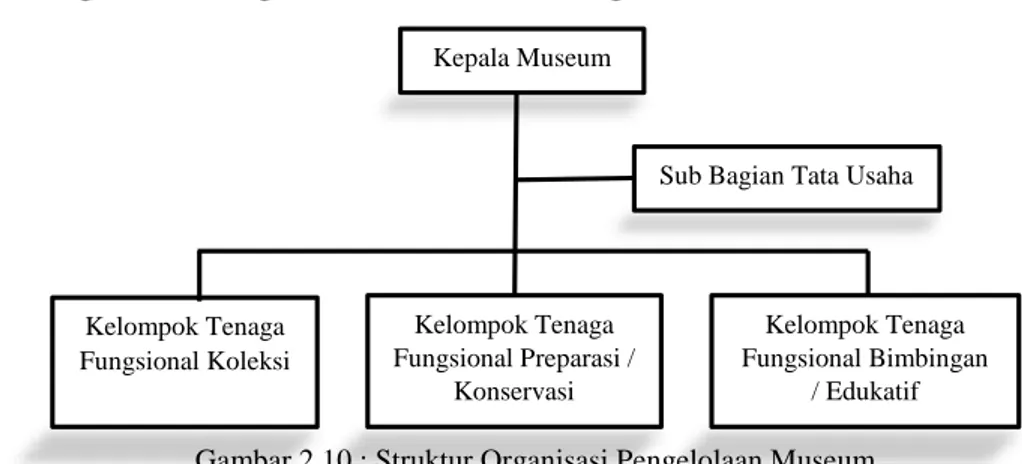 Gambar 2.10 : Struktur Organisasi Pengelolaan Museum  Sumber : Sutaarga, 1983 