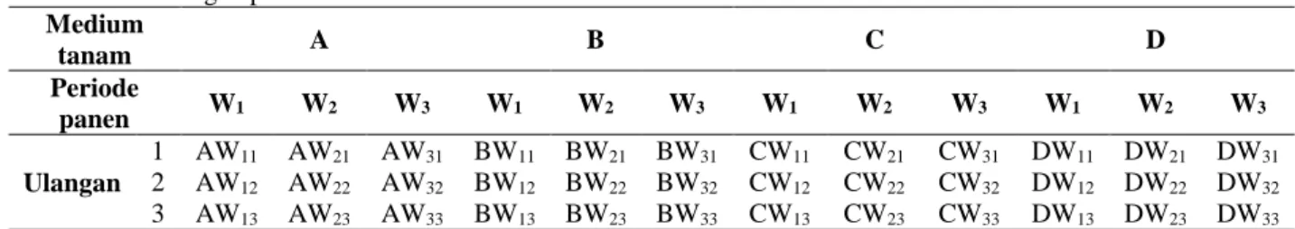 Tabel 1. Rancangan percobaan   Medium  tanam  A  B  C  D  Periode  panen  W 1 W 2 W 3 W 1 W 2 W 3 W 1 W 2 W 3 W 1 W 2 W 3 Ulangan  1  AW 11   AW 21   AW 31   BW 11   BW 21   BW 31 CW 11 CW 21 CW 31 DW 11   DW 21   DW 312  AW 12   AW 22   AW 32   BW 12   BW