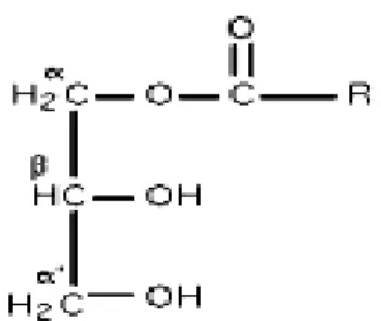 Gambar II.3.  Rumus bangun monoasilgliserol (monogliserida) 