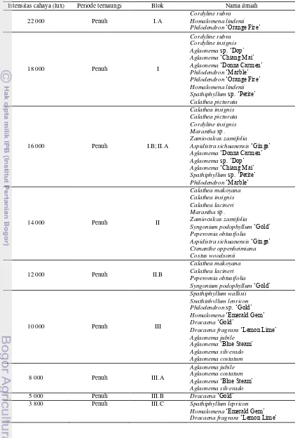 Tabel 17  Inventarisasi tanaman ternaungi di Benara Nurseries Indonesia 