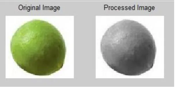 Gambar 1. Citra Jeruk Truecolor dan Greyscale 
