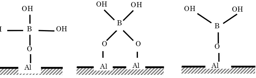 Figure 1. Configuration of Boron Sorption by Aluminum Surface in Fly Ash (Keren and Bingham, 1985) 