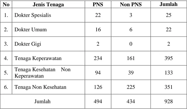 Tabel  2. 2 :    Tenaga PNS berdasarkan jenis kepegawaian di  Rumah Sakit Umum  Daerah Dr.H.Moch