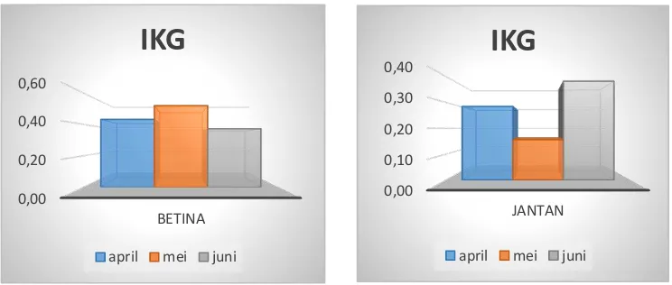 Gambar 3. Indeks Kematangan Gonad (IKG) Ikan Huluu Betina dan Jantan   pada bulan April, Mei, dan Juni  