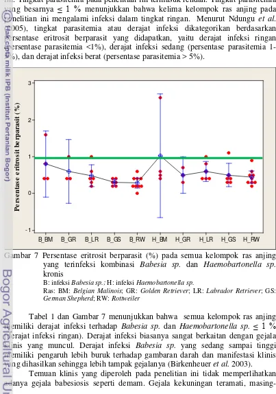 Tabel 1 menunjukkan rata-rata persentase eritrosit berparasit Babesia sp.dan (2005), tingkat parasitemia atau derajat infeksi dikategorikan berdasarkan (persentase parasitemia <1%), derajat infeksi sedang (persentase parasitemia 1-yang besarnya ini