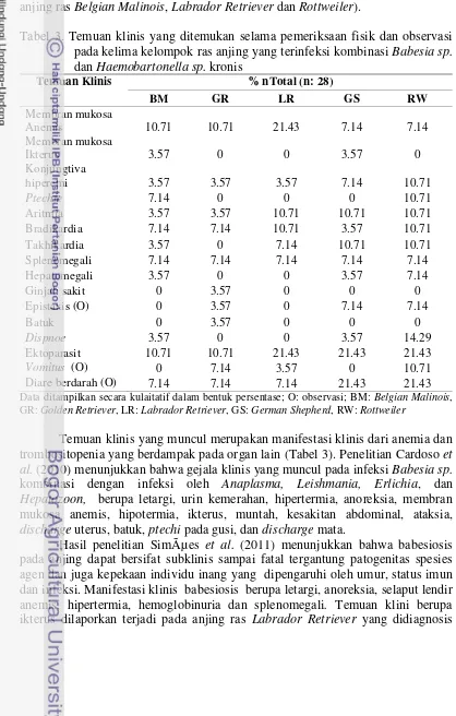 Tabel 3. Temuan klinis yang ditemukan selama pemeriksaan fisik dan observasi 