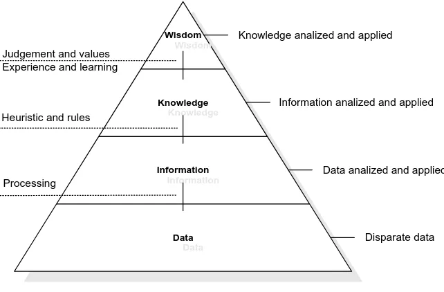 Gambar 2.1 : Piramida Manajemen Pengetahuan 