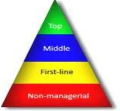 Gambar 2.2 Piramida Tingkatan Manajer 