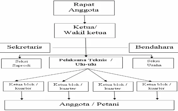 Gambar 2.1.  Struktur Organisasi P3A (Sederhana) 
