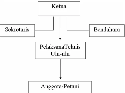 Gambar 4.1. Struktur Organisasi P3A pada D.I. Namo Rambe  