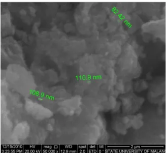 Gambar 2.  Hasil SEM untuk nanokristal Fe 3 O 4  dari hasil sintesa dengan metode  kopresipitasi 